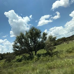 Meet your Posher, Elisa